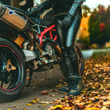 FALCO Harlem Ladies Shoes