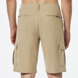 OAKLEY B1B Cargo Hybrid Shorts - Pebble