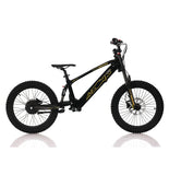 AZONIC Flow 20 (AZF-20) - Electric Balance Bike