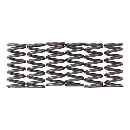 Premier Clutch Springs - Heavy Duty