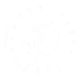 Stator Yamaha XVS650 V-Star Custom '04-'16 (RMS010-103240)