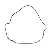 Outer Clutch Gasket Kit 817987