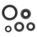 OIL SEAL KIT 822994